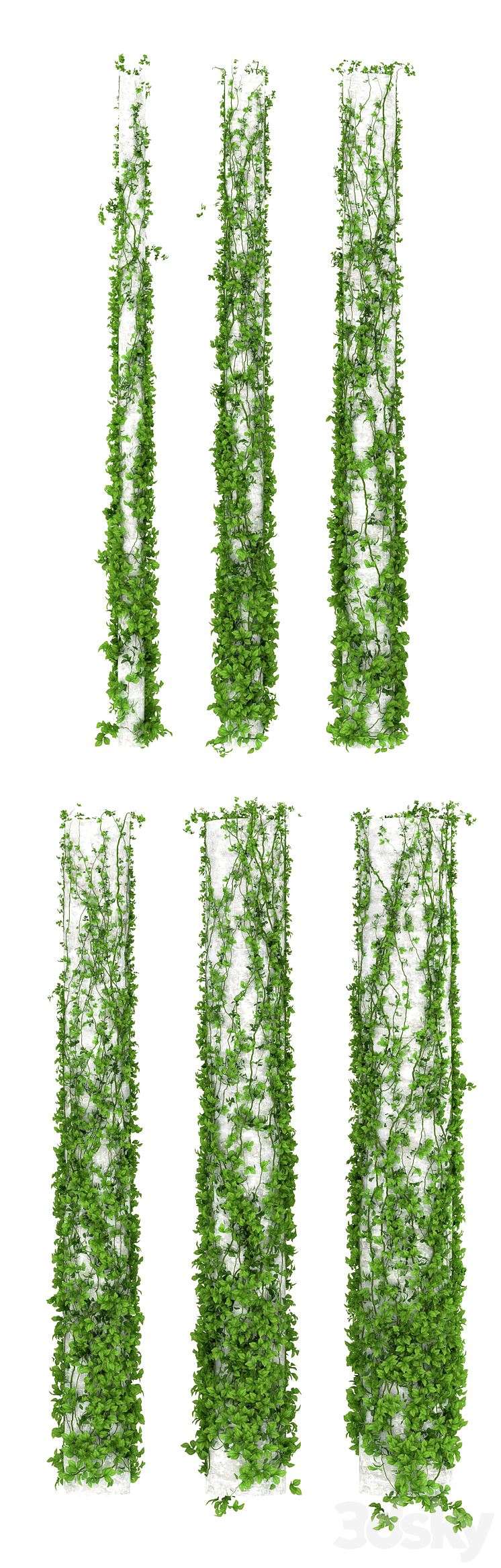 Leaves for columns. 6 sizes 3DS Max - thumbnail 2