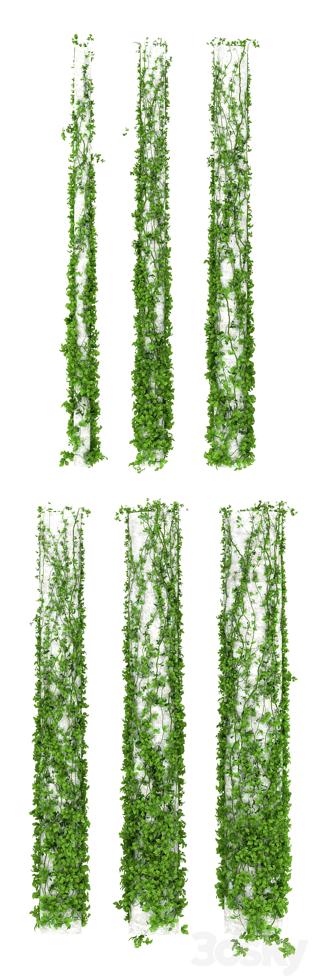 Leaves for columns. 6 sizes 3DSMax File - thumbnail 2