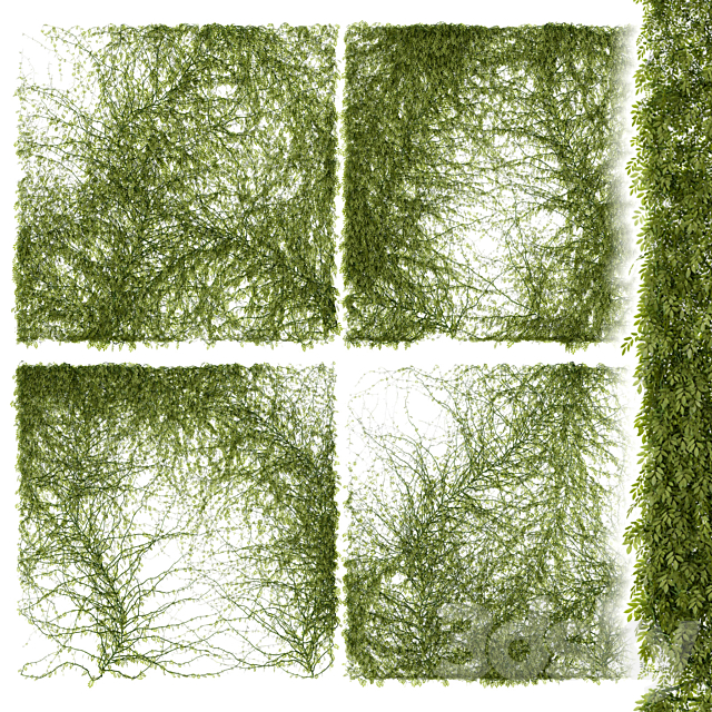 Leaves for walls 3DS Max Model - thumbnail 1