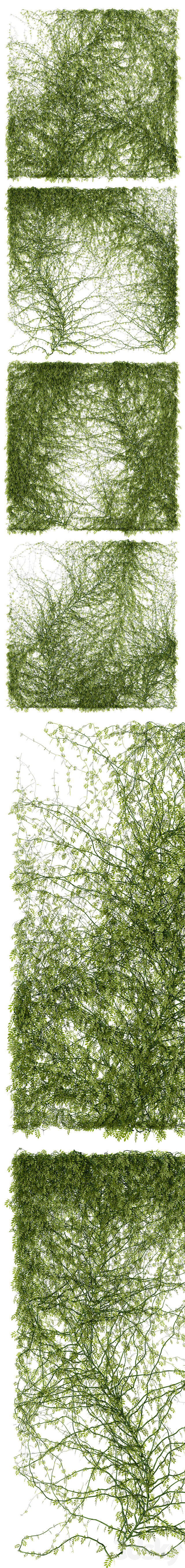 Leaves for walls 3DS Max Model - thumbnail 2