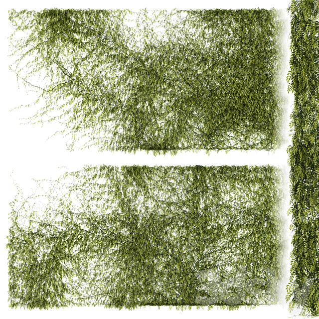 Leaves for walls v2 3DSMax File - thumbnail 1