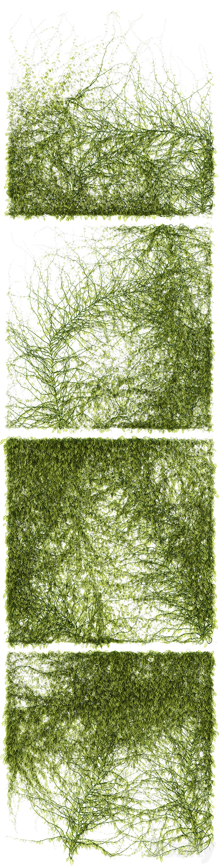 Leaves for walls v3 3DS Max - thumbnail 2