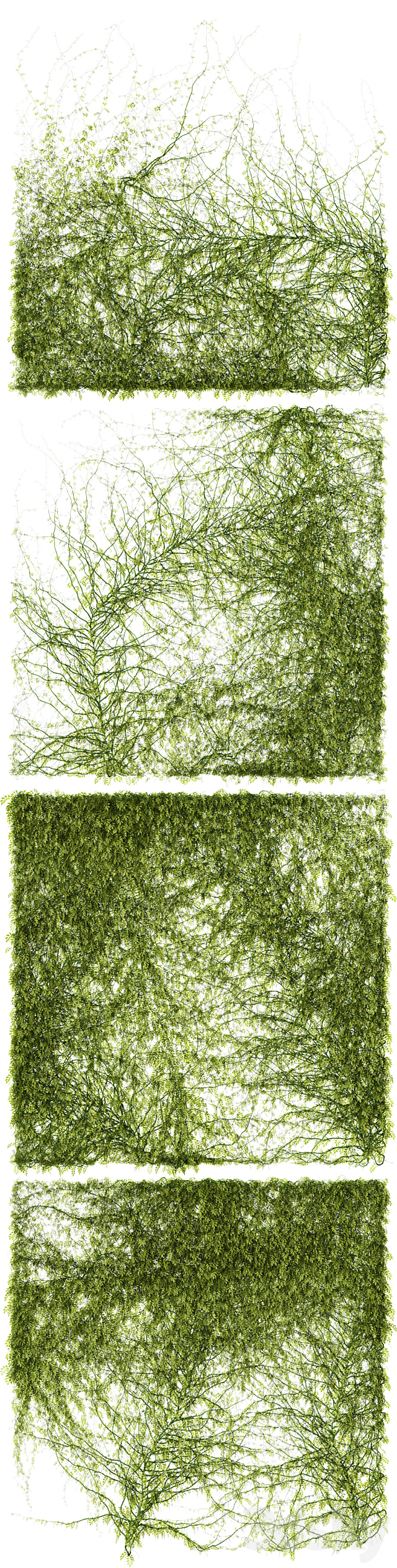 Leaves for walls v3 3DSMax File - thumbnail 2