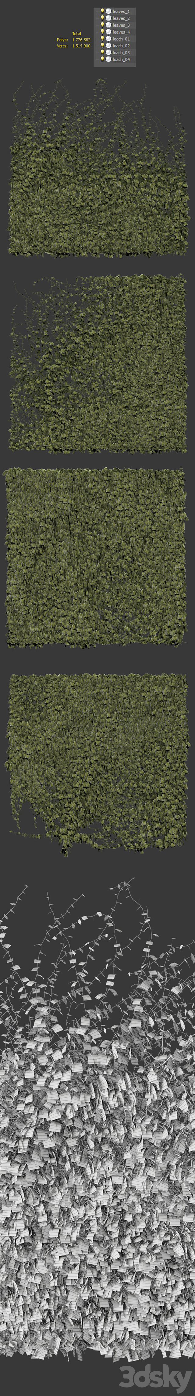 Leaves for walls v3 3DSMax File - thumbnail 3