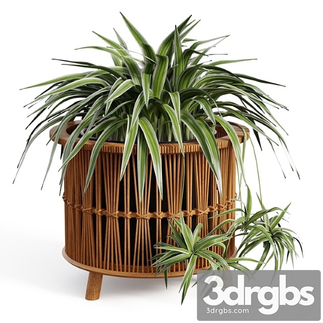 Maiki woven planters - thumbnail 1