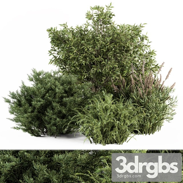 Mixed Plant Bush Bush Set 37 1 3dsmax Download - thumbnail 1