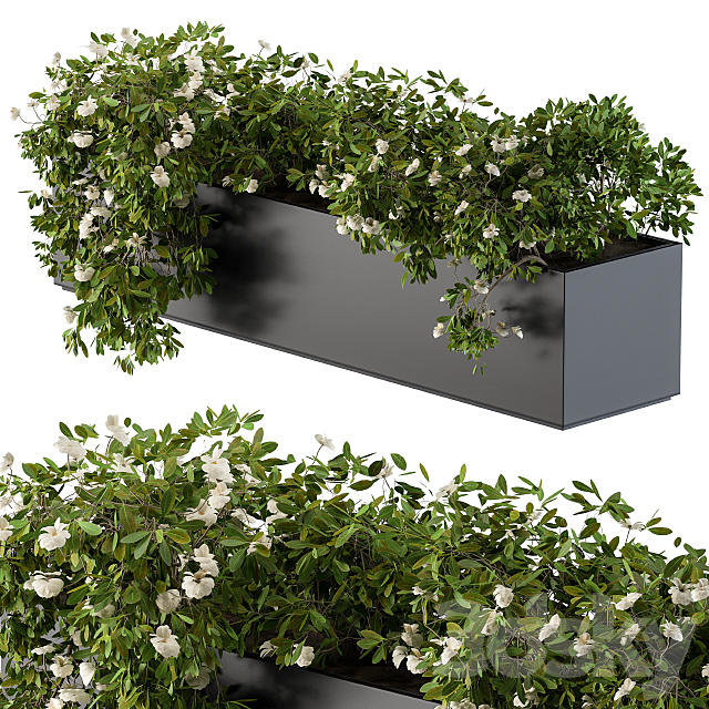 Modern Planter Box White Flower 3ds Max - thumbnail 1