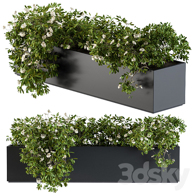 Modern Planter Box White Flower 3ds Max - thumbnail 2