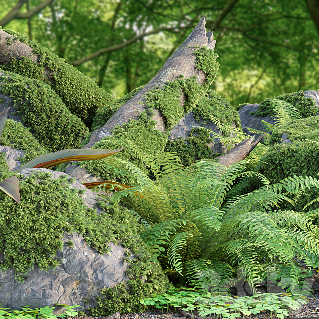 Mossy Garden Asset collection vol 156 3ds Max - thumbnail 2