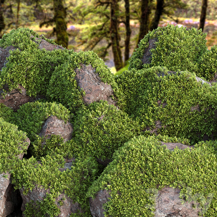 Mossy rock garden collection vol 140 3DS Max Model - thumbnail 2