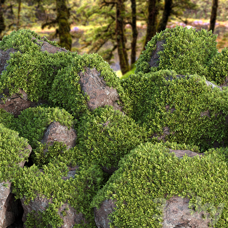 Mossy rock garden collection vol 140 3DS Max - thumbnail 2