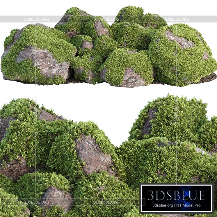 Mossy rock garden collection vol 140 3DS Max - thumbnail 3