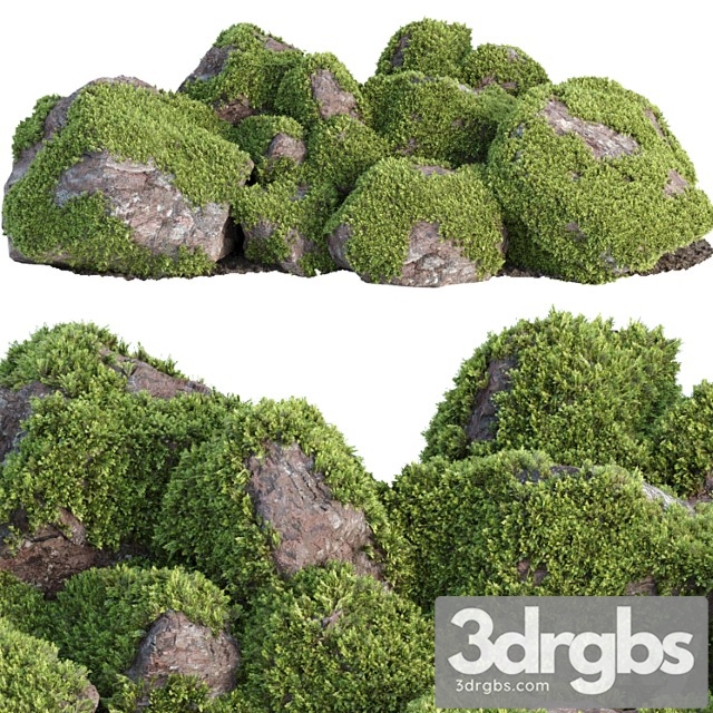 Mossy rock garden collection vol 140 - thumbnail 1