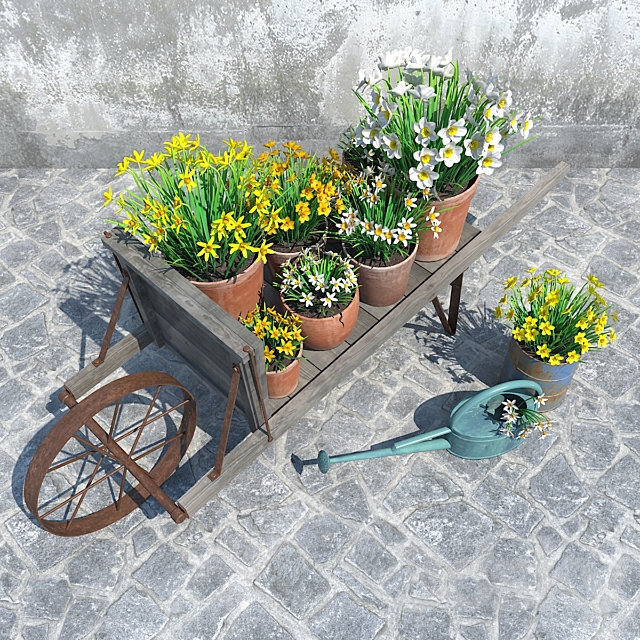 Narcissus – Set 1 3ds Max - thumbnail 3