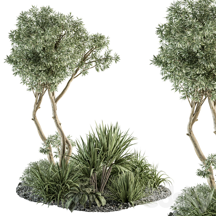 Needle tree and Bush – Outdoor Garden Set 305 3DS Max Model - thumbnail 3