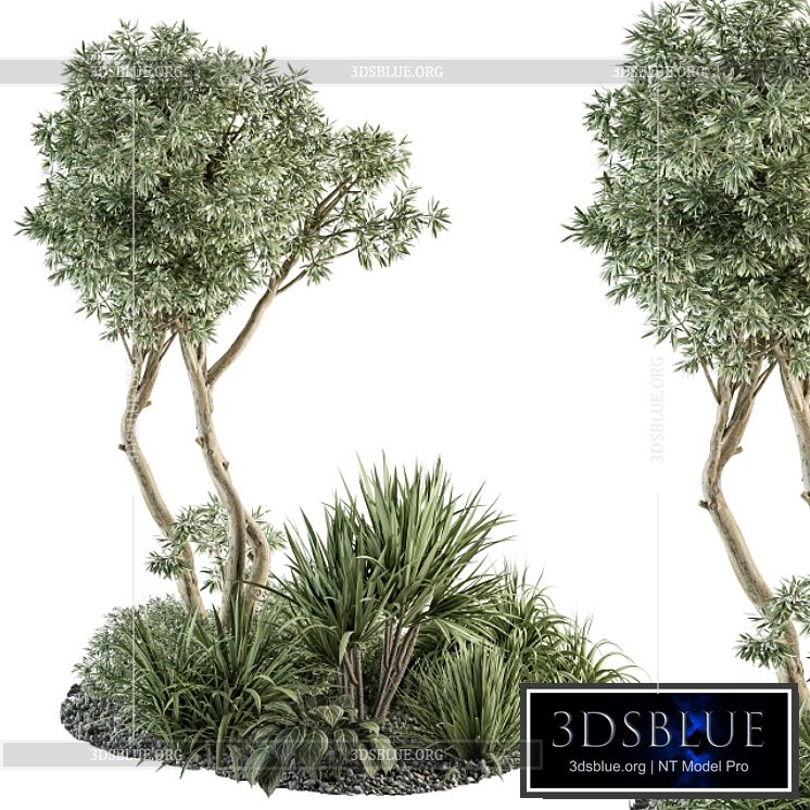 Needle tree and Bush – Outdoor Garden Set 305 3DS Max - thumbnail 3