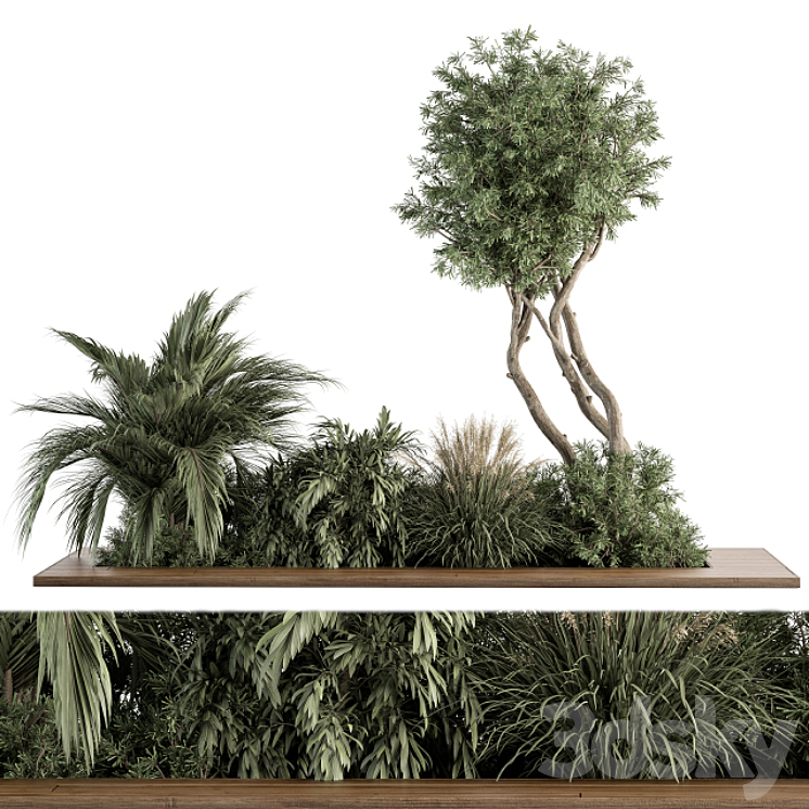 Needle tree and Palm Bush – Outdoor Garden Set 314 3DS Max Model - thumbnail 1