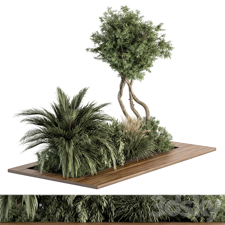 Needle tree and Palm Bush – Outdoor Garden Set 314 3DS Max Model - thumbnail 2
