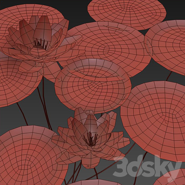 Nymphaeaceae Water Lily 3DSMax File - thumbnail 4