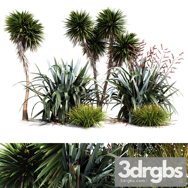 Oceania Plant Set 3dsmax Download - thumbnail 1