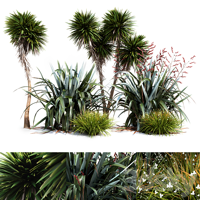 Oceania plant set 3DSMax File - thumbnail 1