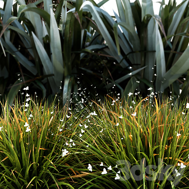 Oceania plant set 3DSMax File - thumbnail 3