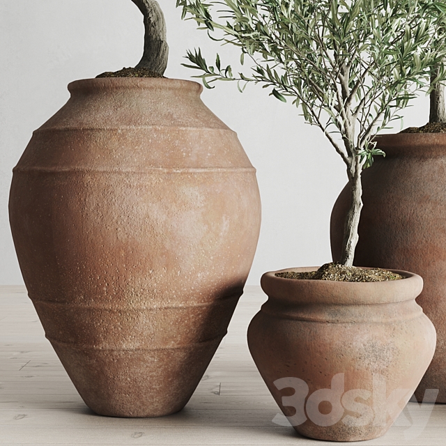 Olive European In Antique Clay Vessels 3DSMax File - thumbnail 3