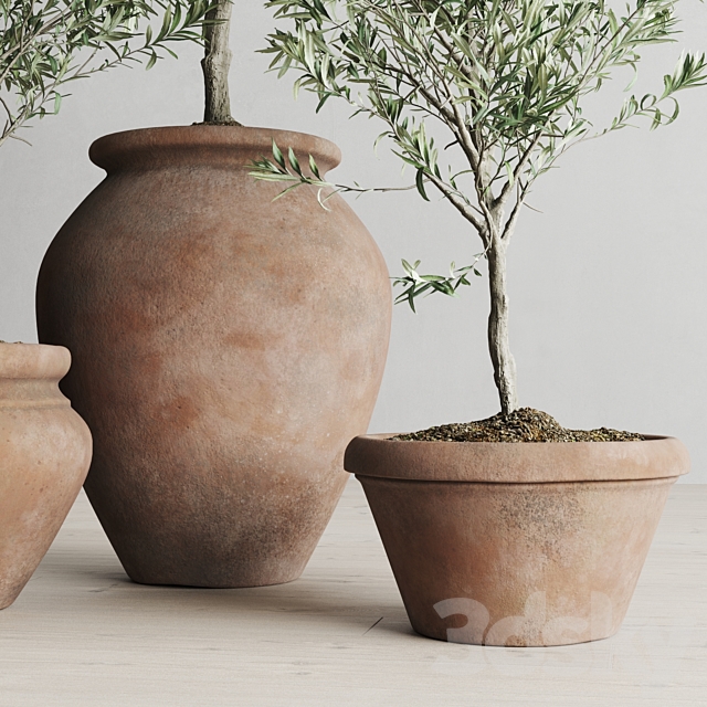 Olive European In Antique Clay Vessels 3DSMax File - thumbnail 4