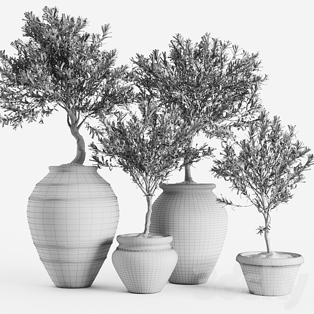 Olive European In Antique Clay Vessels 3DSMax File - thumbnail 5