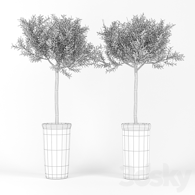 Olive_Tree 3DS Max Model - thumbnail 2