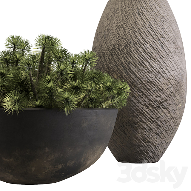 out door plant 13 3ds Max - thumbnail 2