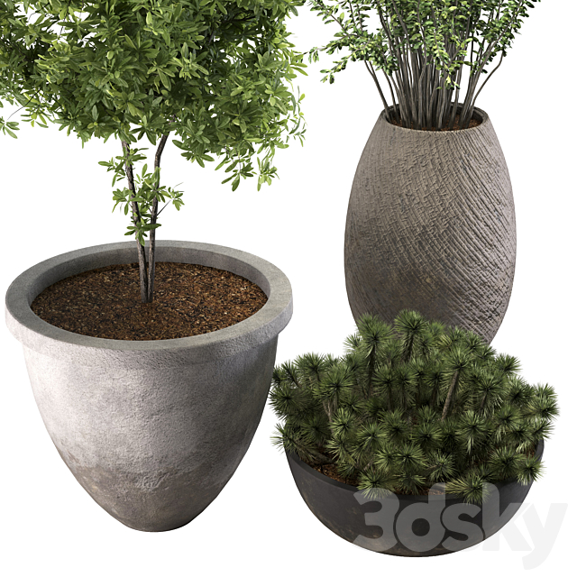 out door plant 13 3ds Max - thumbnail 3