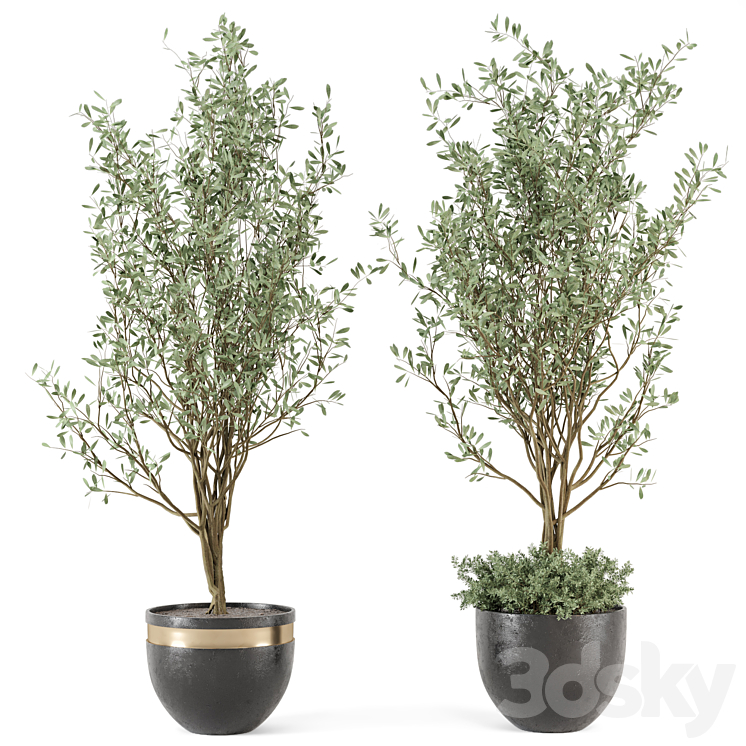 Outdoor bush and Tree in rusty Concrete Pot – Set 204 3DS Max - thumbnail 1