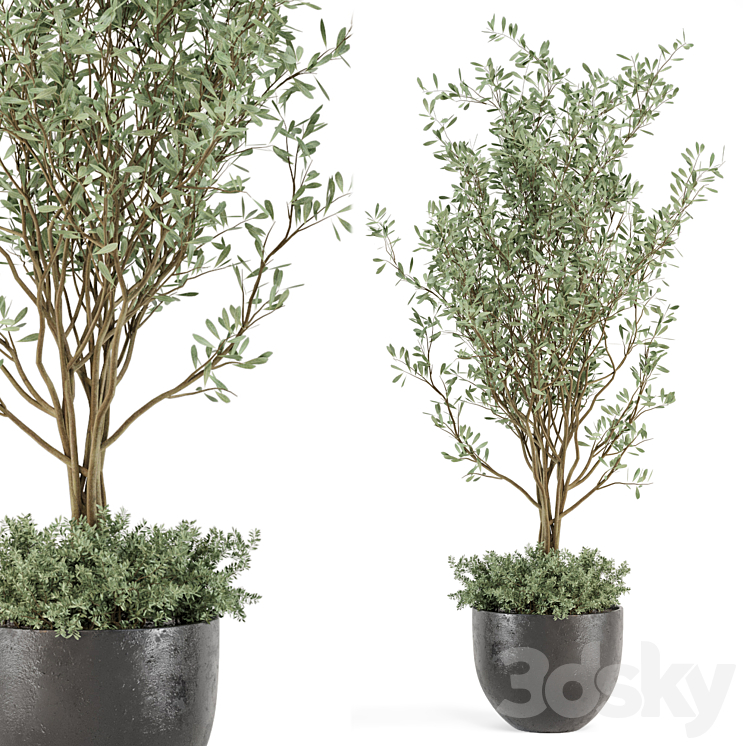 Outdoor bush and Tree in rusty Concrete Pot – Set 204 3DS Max - thumbnail 2