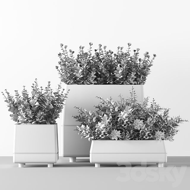 Outdoor-bushes in concrete pots 3DSMax File - thumbnail 5