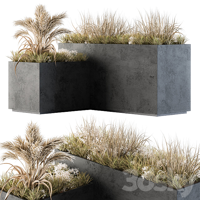 Outdoor Concrete Plant Box with Cereals and Dried Plants 3DS Max Model - thumbnail 2