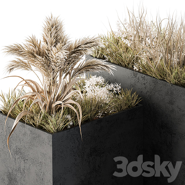 Outdoor Concrete Plant Box with Cereals and Dried Plants 3DS Max Model - thumbnail 3