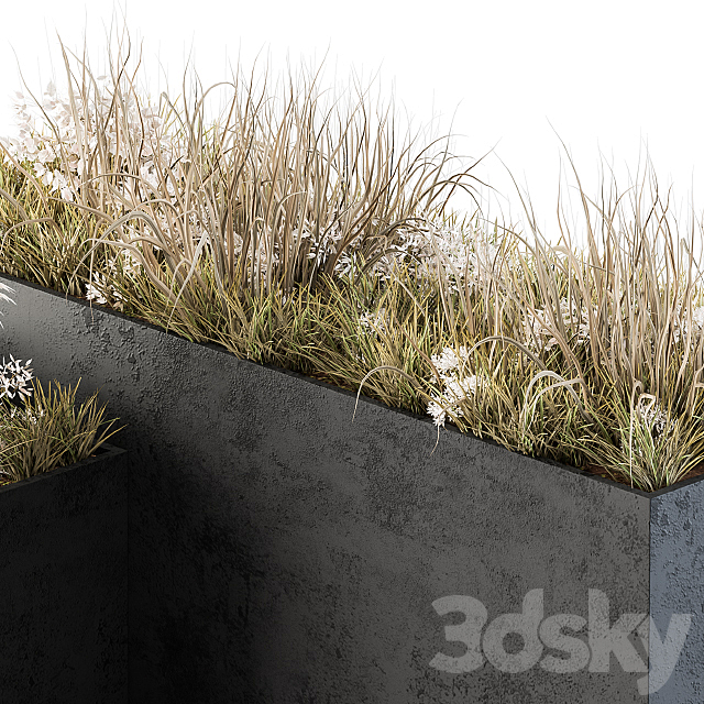 Outdoor Concrete Plant Box with Cereals and Dried Plants 3DS Max Model - thumbnail 4