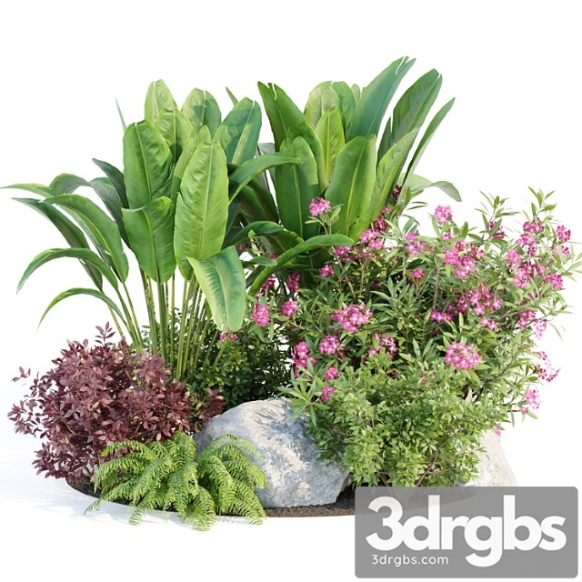 Outdoor garden plants collection vol 136 - thumbnail 1