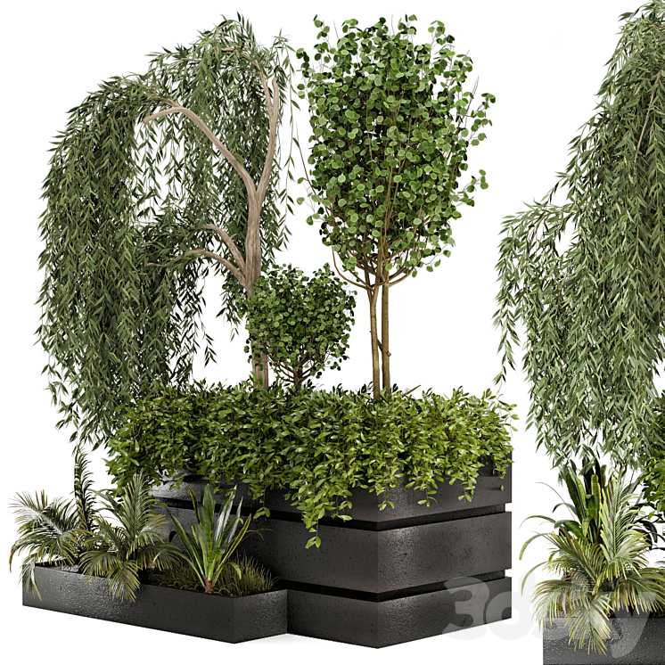 Outdoor Garden set bush and Tree – Garden Set 48 3DS Max - thumbnail 1