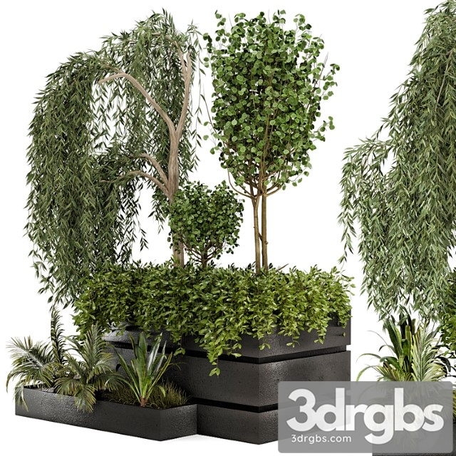 Outdoor garden set bush and tree – garden set 48 - thumbnail 1