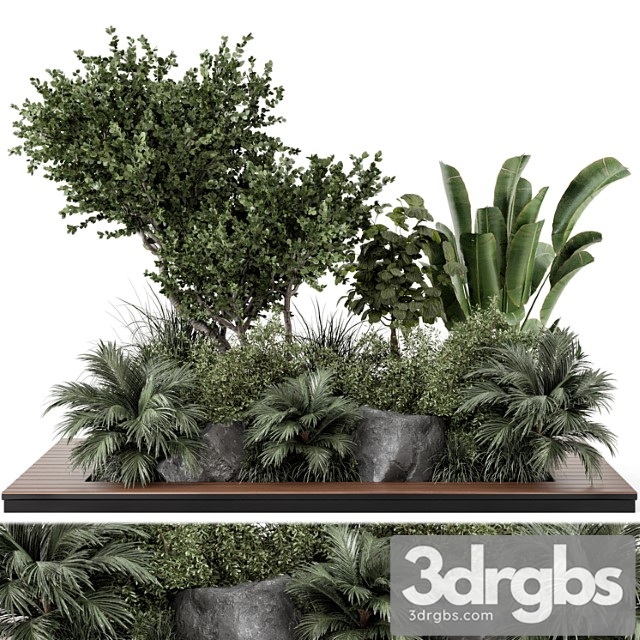 Outdoor garden set bush and tree – garden set 637 - thumbnail 1