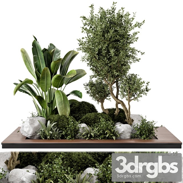 Outdoor garden set bush and tree – garden set 908 - thumbnail 1