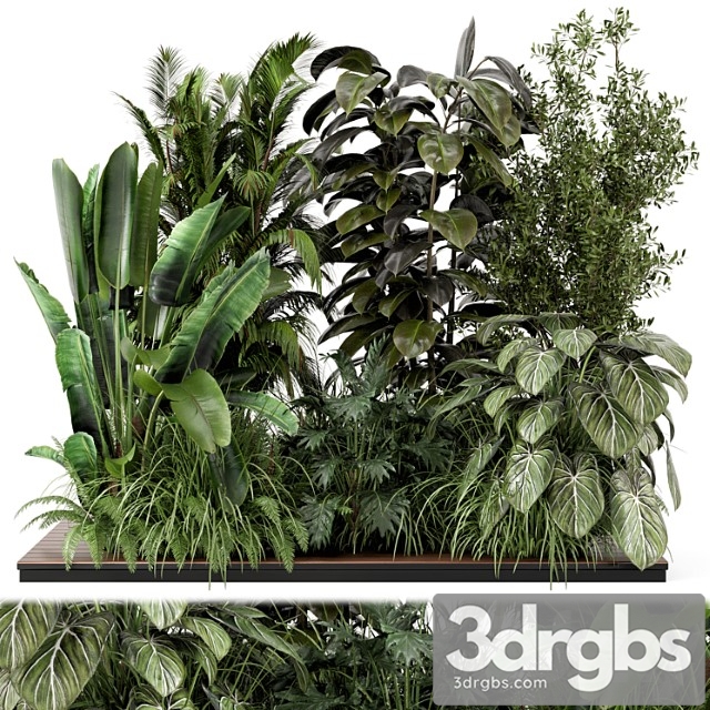 Outdoor garden set bush and tree – garden set 999 - thumbnail 1