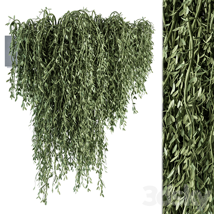 Outdoor Hanging Plants – Set 294 3DS Max Model - thumbnail 1