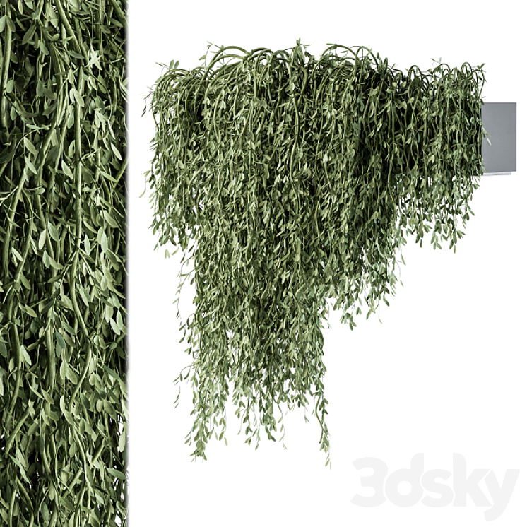 Outdoor Hanging Plants – Set 294 3DS Max Model - thumbnail 2