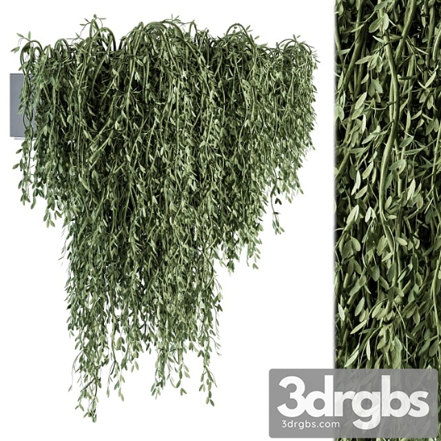 Outdoor hanging plants – set 294 - thumbnail 1