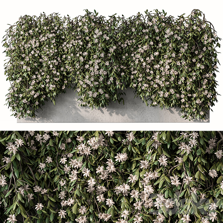 Outdoor Hanging Plants with White Flower – Set 390 3DS Max Model - thumbnail 1