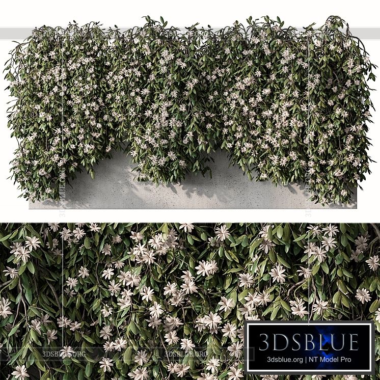 Outdoor Hanging Plants with White Flower – Set 390 3DS Max - thumbnail 3