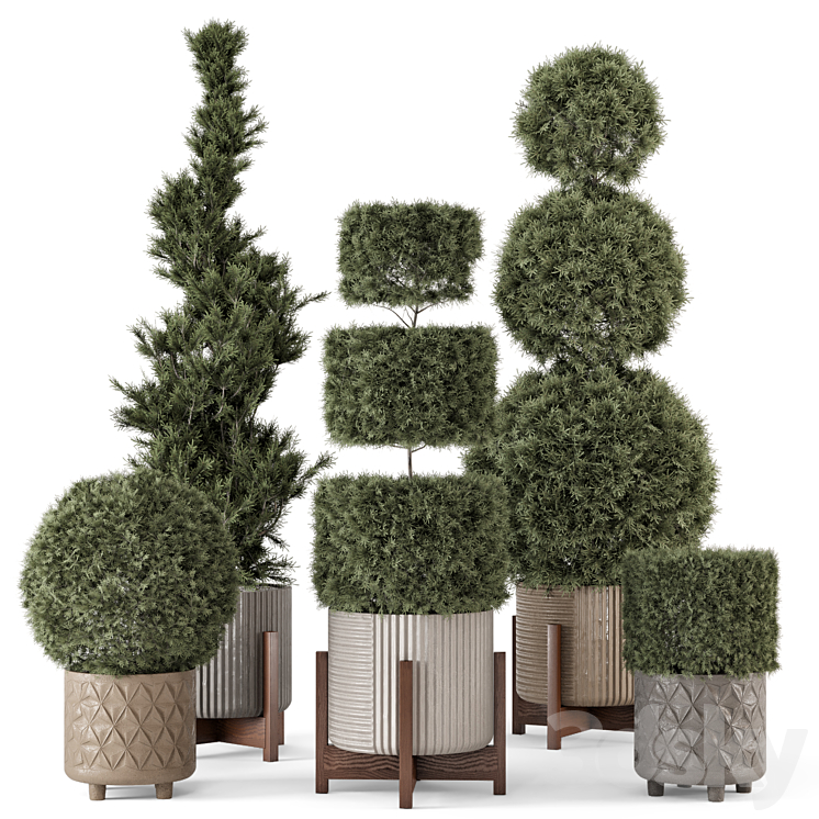 Outdoor Pine Plants in Concrete Pot – Set 522 3DS Max Model - thumbnail 3